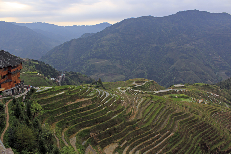 2017-04-12_072454 china-2017.jpg - Longsheng - Pingan - Reisterassen